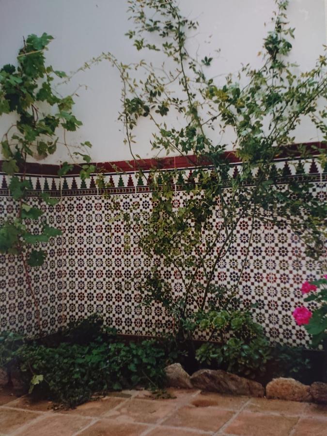 Lecrin Un Balcon A Sierra Nevada 빌라 외부 사진