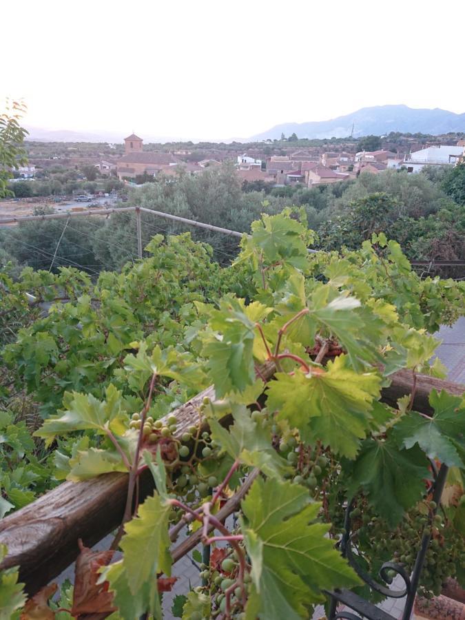 Lecrin Un Balcon A Sierra Nevada 빌라 외부 사진